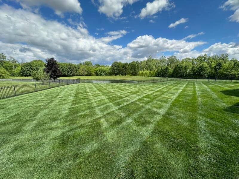 Professional lawn striping on a fenced backyard