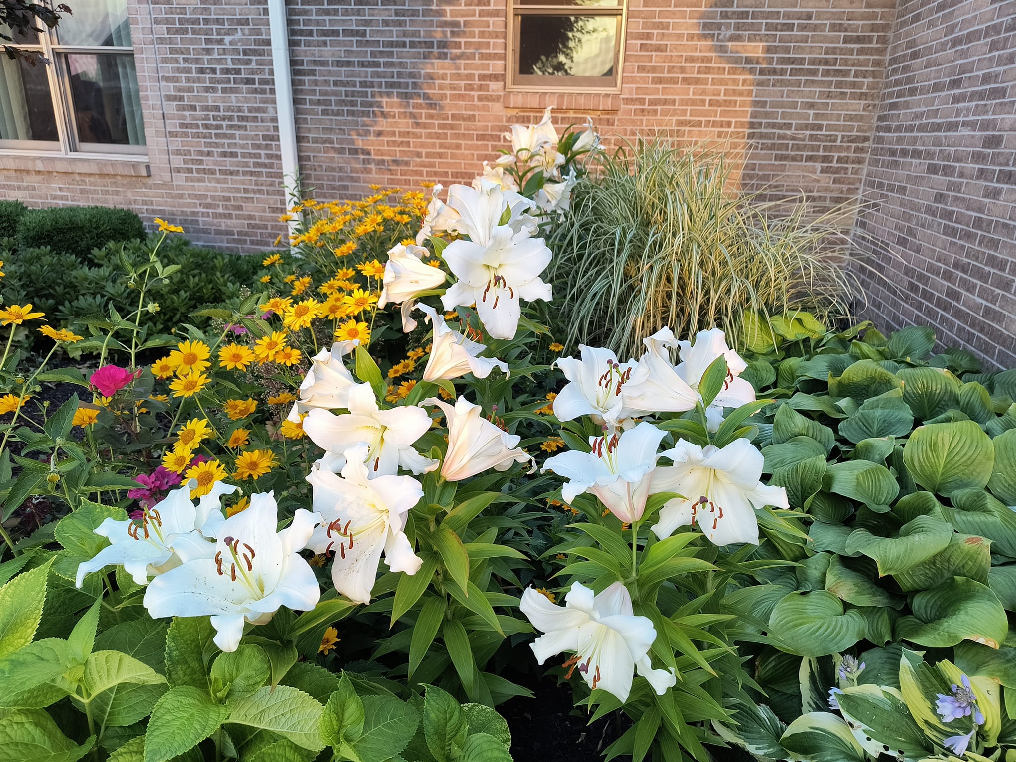 The Difference Between a Mowing Service and a Lawn Care Service — hero image